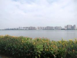 武汉南湖治理案例