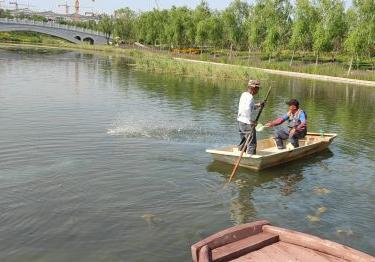 城市绿心森林公园治理案例