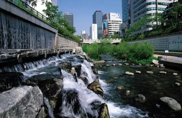 河道湿地生态治理技术大汇总(图1) 河道湿地生态治理技术大汇总(图1)
