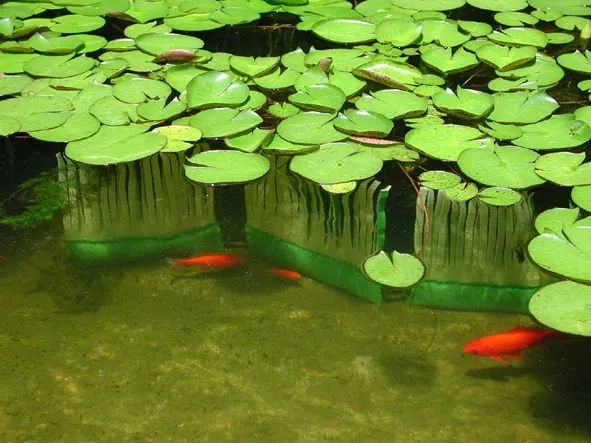 河道湿地生态治理技术大汇总(图4) 河道湿地生态治理技术大汇总(图4)