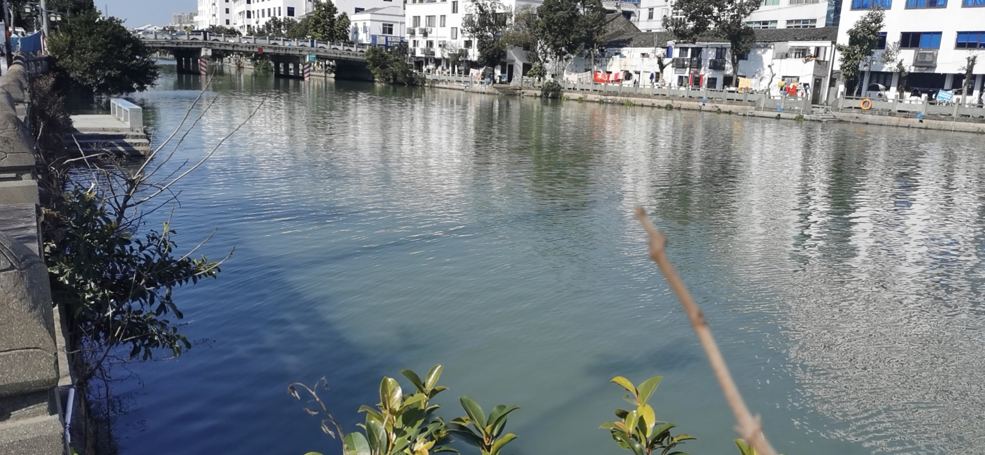 瑞安市塘河治理项目(图1)
