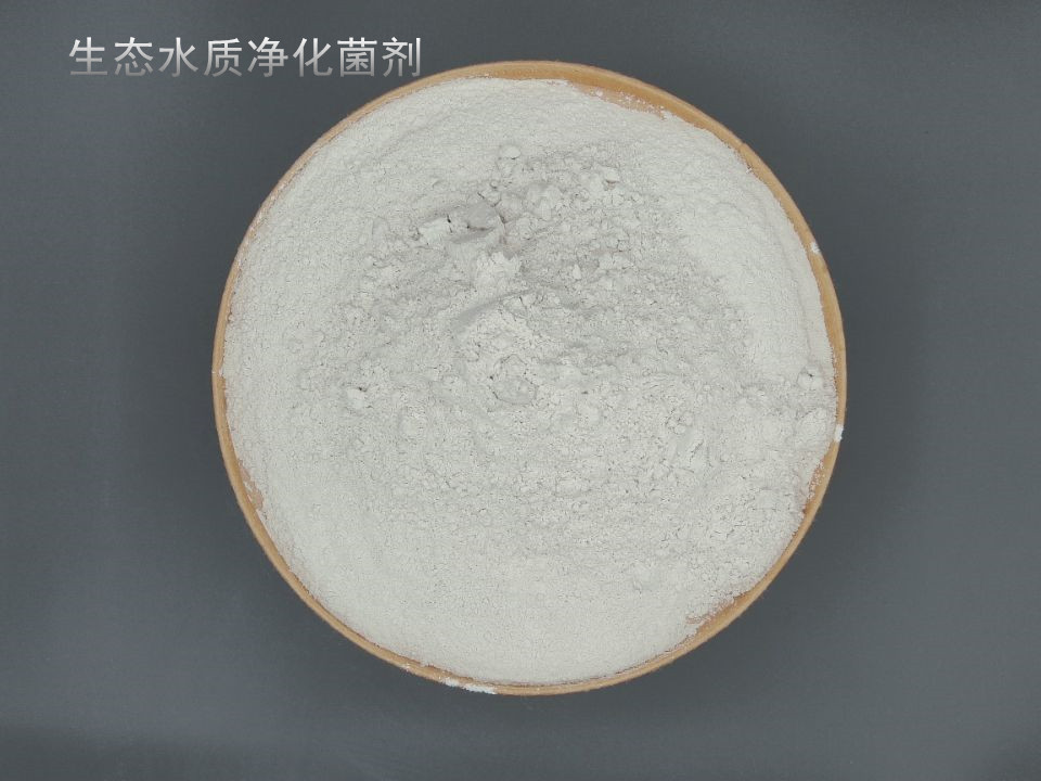 生态水质净化菌剂_副本.jpg