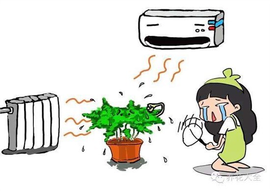 7.8网站配图 2.jpg