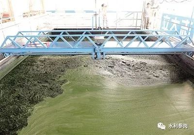 打捞蓝藻有用吗?能消除蓝藻爆发吗?(图3) 图片