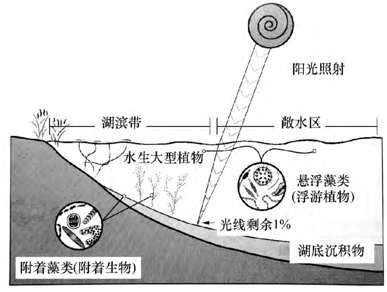 水生态系统的五大生态要素特性(图2) 图片